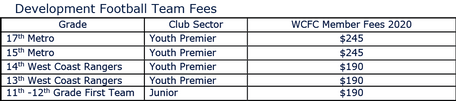 Table for development teams fees